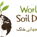 روز جهانی خاک