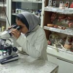 استخراج و مشاهده DNA موز