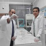 استخراج DNA از موز